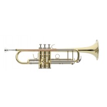 Stagg LV-TR5205 trombita