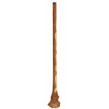 Terré gyökér didgeridoo, eukaliptusz, 140-150 cm
